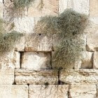 Joodse wortels christendom: Kesjer, Messiaanse Alpha-cursus