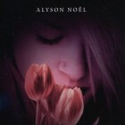 Boekverslag: Alyson Noël 'Evermore' (De onsterfelijken 1)