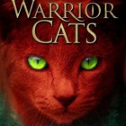Boekverslag: Erin Hunter 'Warrior Cats 1 - De wildernis in'