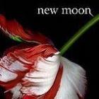 Boekverslag New Moon/Nieuwe Maan