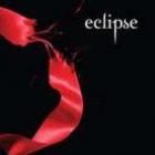Boekverslag Eclipse