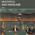 Boekverslag: Max Havelaar