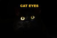 cat eyes / Bron: Mihail Hukuna, Pixabay